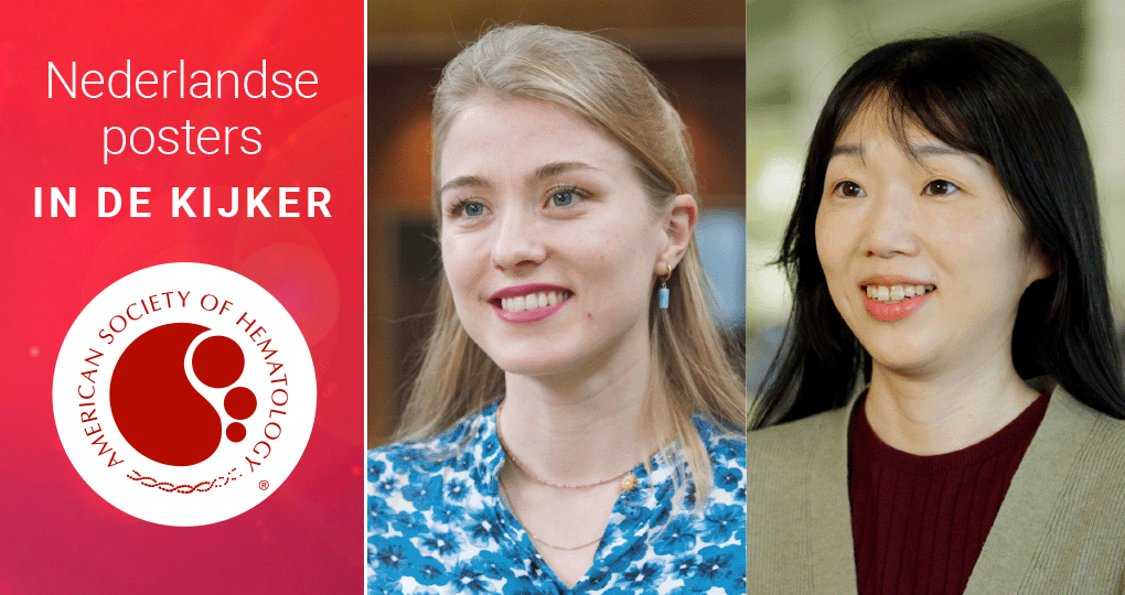 ASH25, Wijnen, Ishimaru, 2025