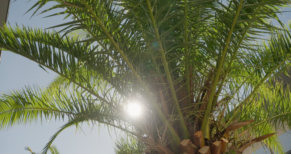ESMO26_1020x540_010