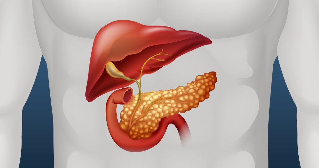 Duijzer, 2026, Pancreas, Alvleesklaier, MLD