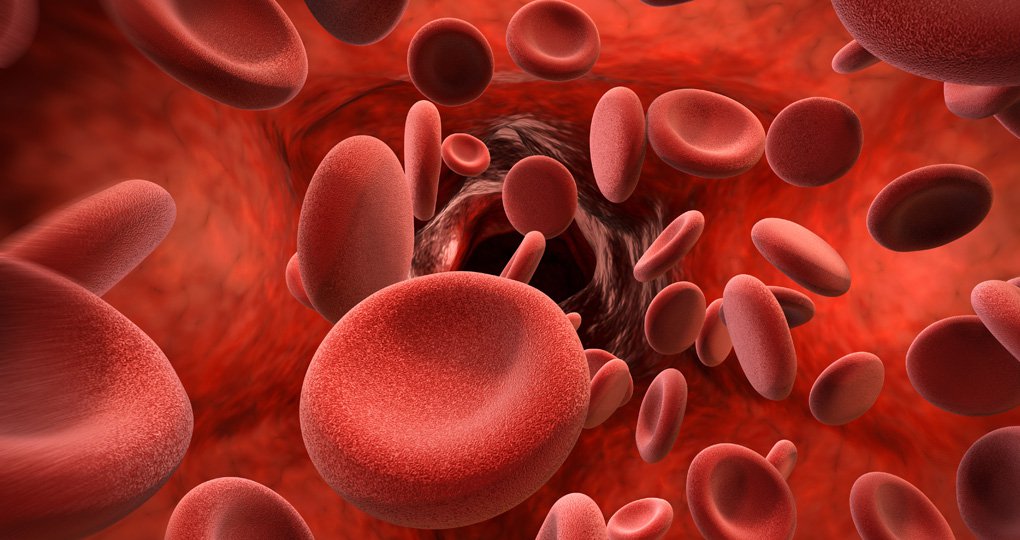 Bloed, hematologie