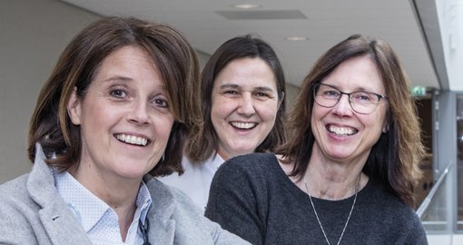 Heuts, van de Wouw, van Rooij iClusion 2019