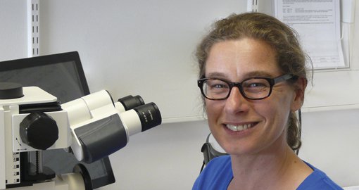 Anita Rijneveld, immuno 2017