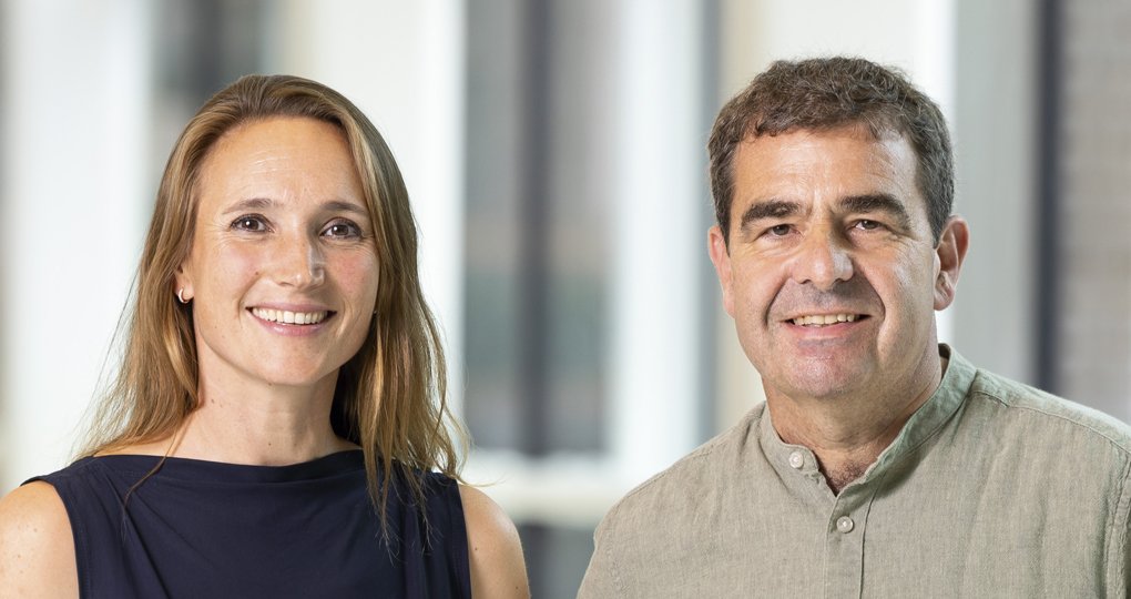 Dorp, Sinderen, 2026