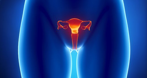 Ovarium, eierstokken, cervix, gynaecologie