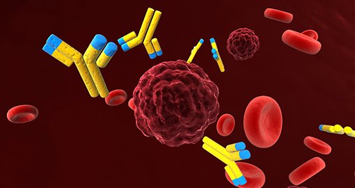 Tumor, cel, kankercel, antilichamen, algemeen