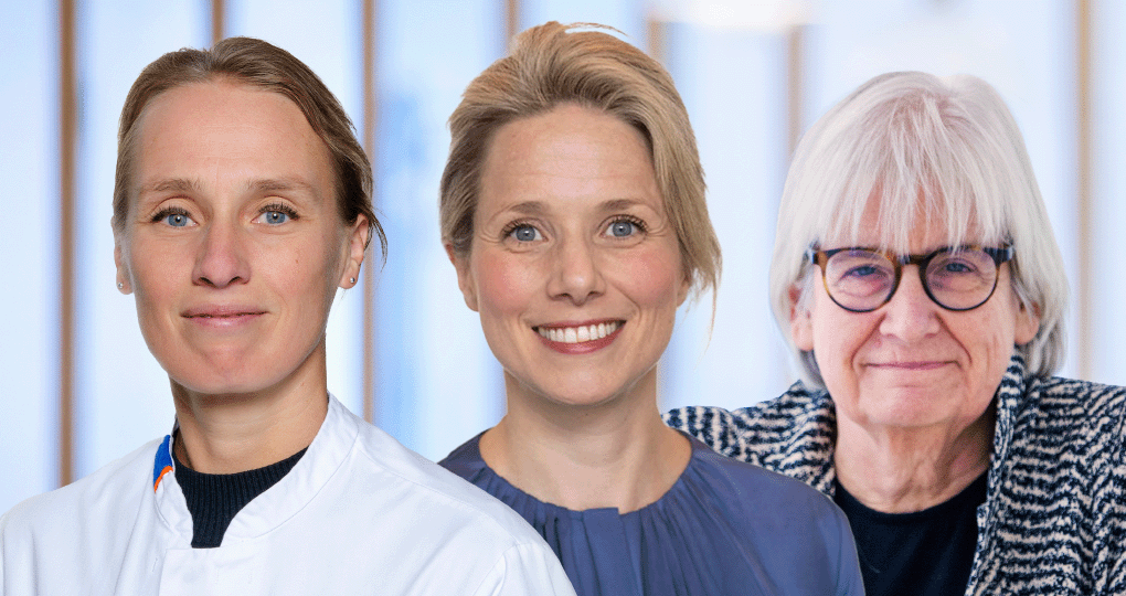 Banner Oosting + de Vries + van der Veldt